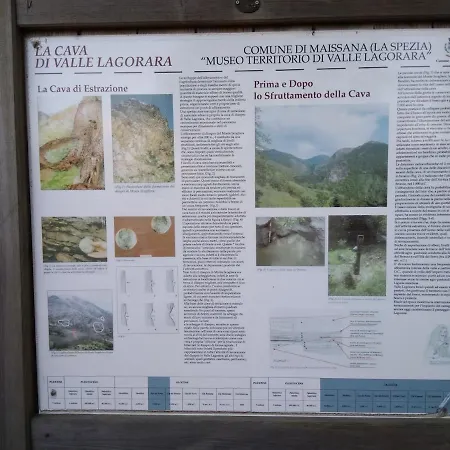 For Visiting Cinque Terre And Tigullio Bay Daire *